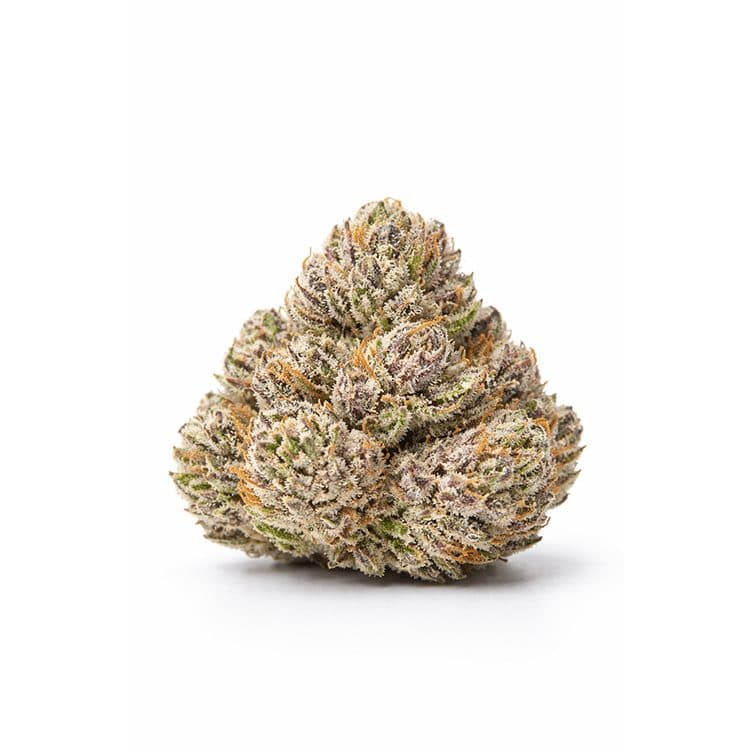 3.5G MAMA'S BEST 19.05% THC SATIVA-HYBRID FLOWER