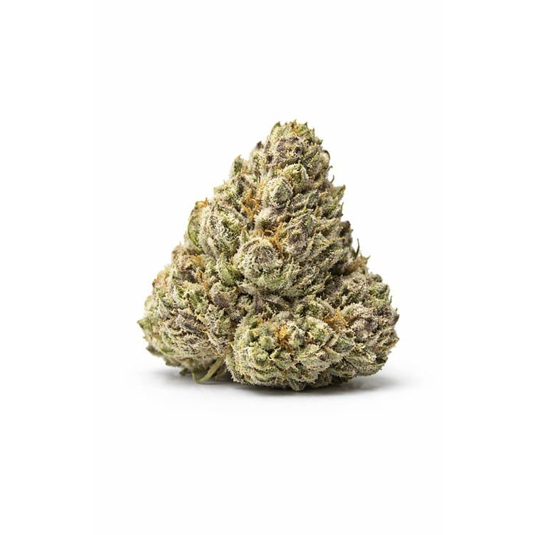 1G SHO'NUFF 24.51% THC INDICA-HYBRID FLOWER/POPCORN SILVER AND BLACK ATTACK