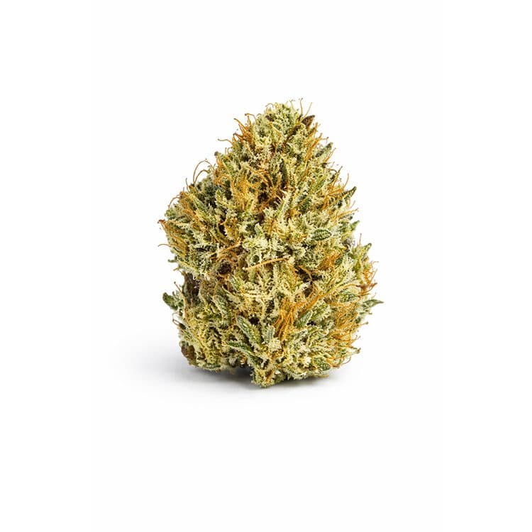 (TOP SHELF) 3.5G TAKE U THERE 24.67% THC HYBRID FLOWER